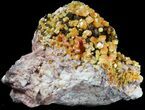 Orange Wulfenite Crystal Cluster - Rowley Mine, AZ #49327-1